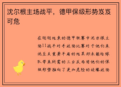 沈尔根主场战平，德甲保级形势岌岌可危