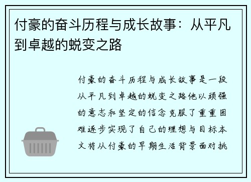 付豪的奋斗历程与成长故事：从平凡到卓越的蜕变之路