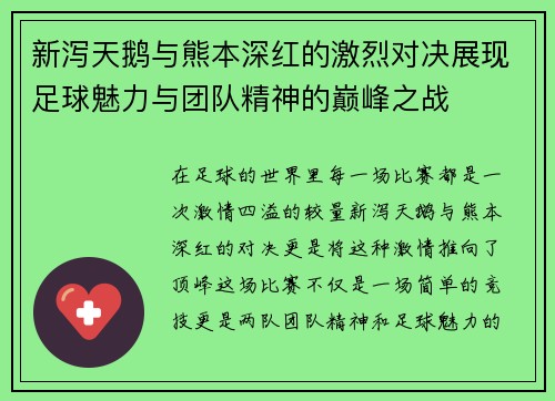 新泻天鹅与熊本深红的激烈对决展现足球魅力与团队精神的巅峰之战