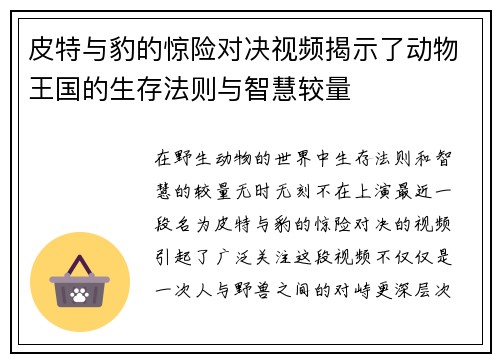 皮特与豹的惊险对决视频揭示了动物王国的生存法则与智慧较量