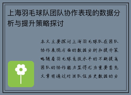 上海羽毛球队团队协作表现的数据分析与提升策略探讨